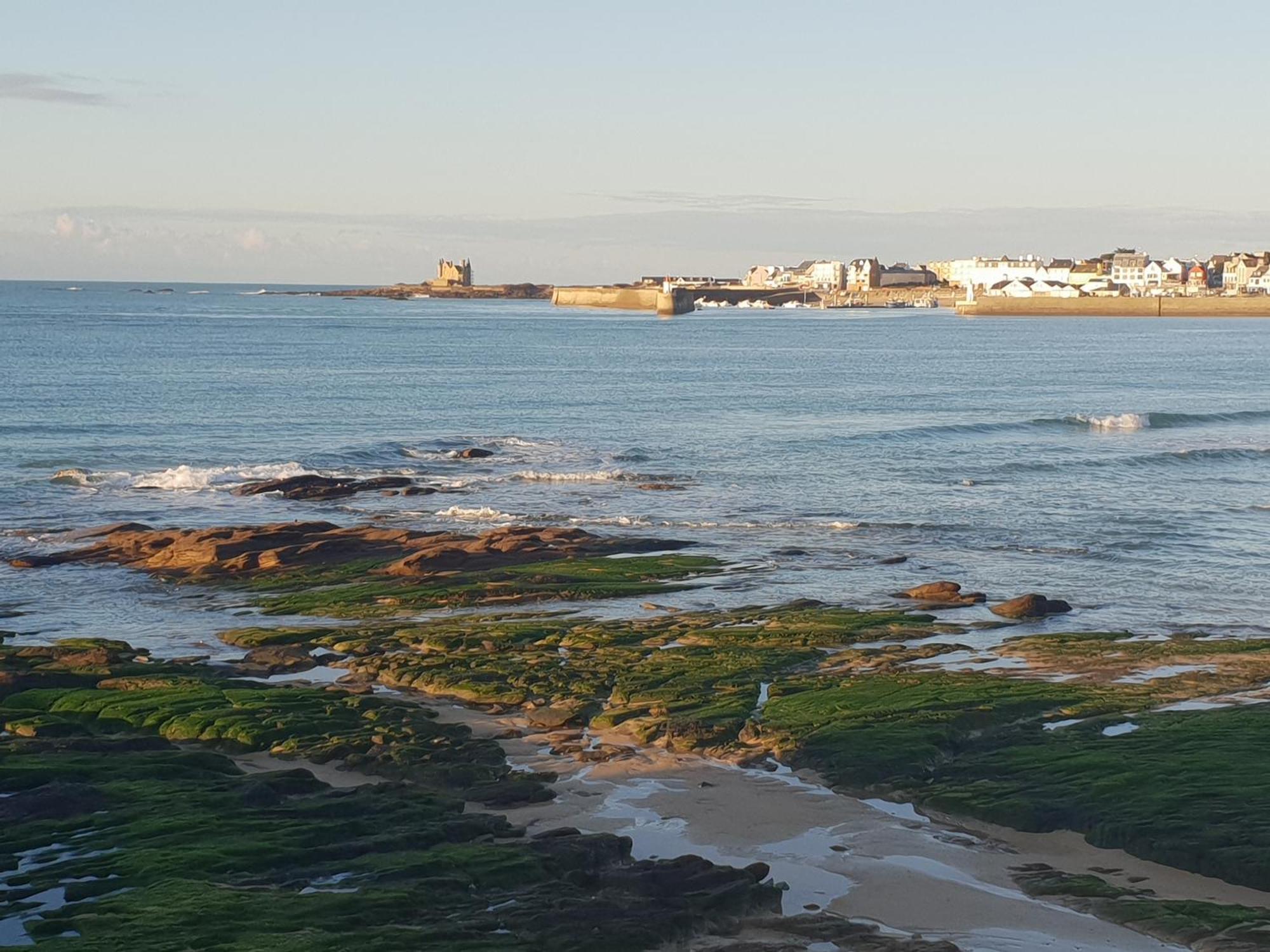 Appartement Cocon A Quiberon Dans Residence Calme, Plages Et Centre Ville A Pied Ou A Velo Pour 2 A 4 Personnes Buitenkant foto